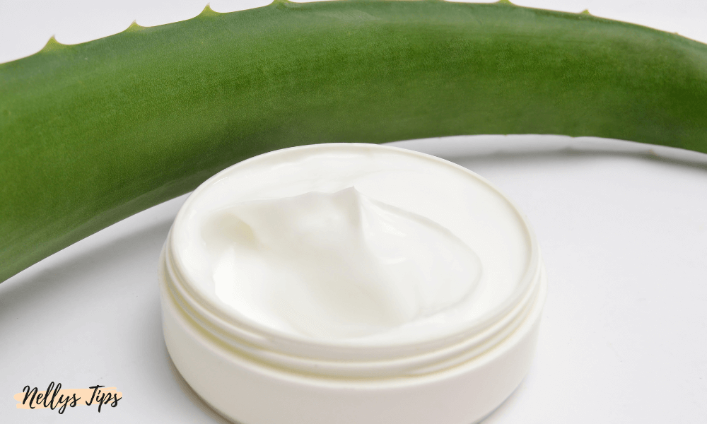 Åben krukke med aloe vera creme ved siden af aloe vera plante.